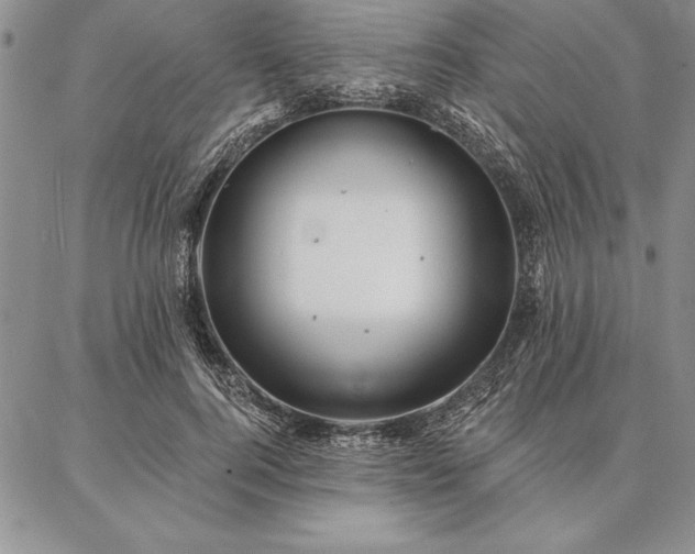 X0000087380744200704271557