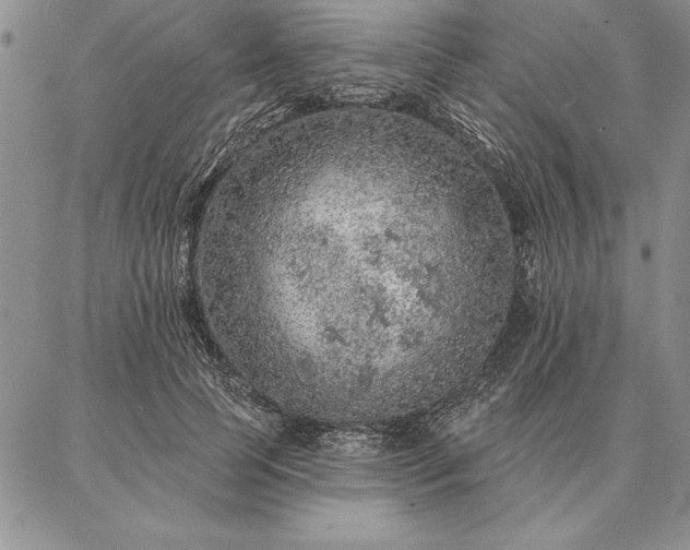 X0000087380745200704271557