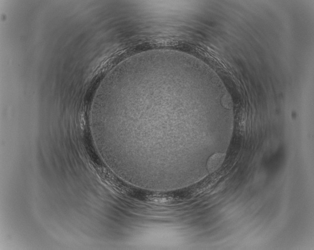 X0000087380746200704271557