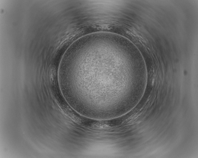 X0000087380747200704271557