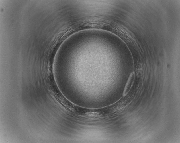 X0000087380748200704271557