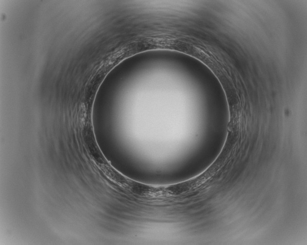 X0000087380752200704271557