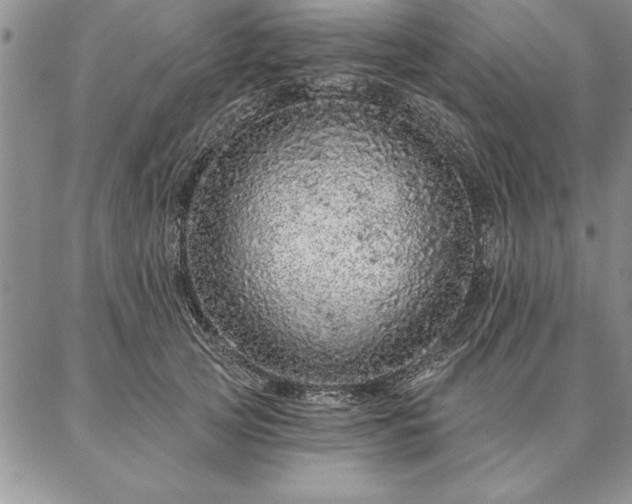 X0000087380753200704271557