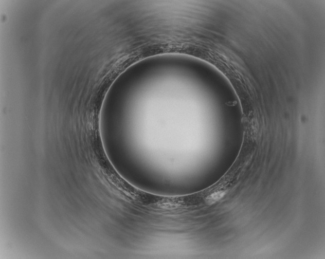 X0000087380756200704271557