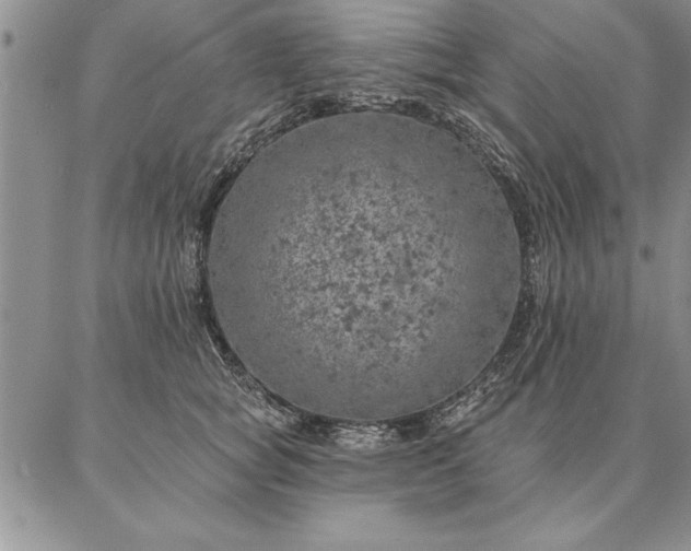 X0000087380757200704271557