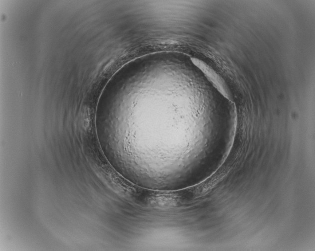 X0000087380758200704271557