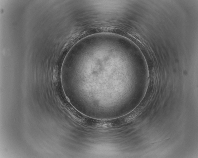 X0000087380760200704271557