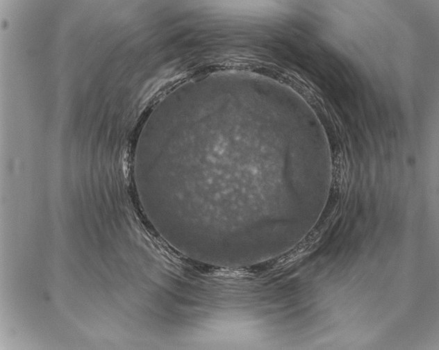 X0000087380762200704271557