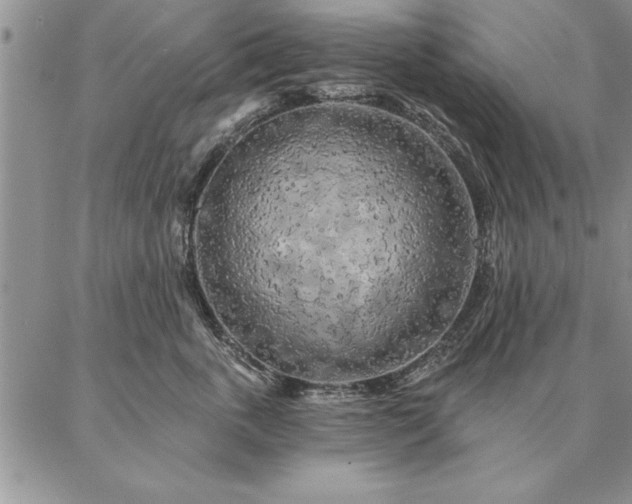 X0000087380763200704271557