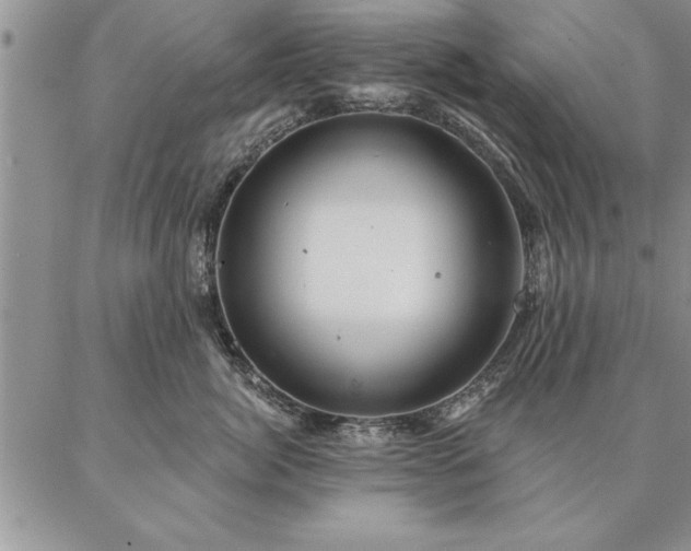 X0000087380764200704271557