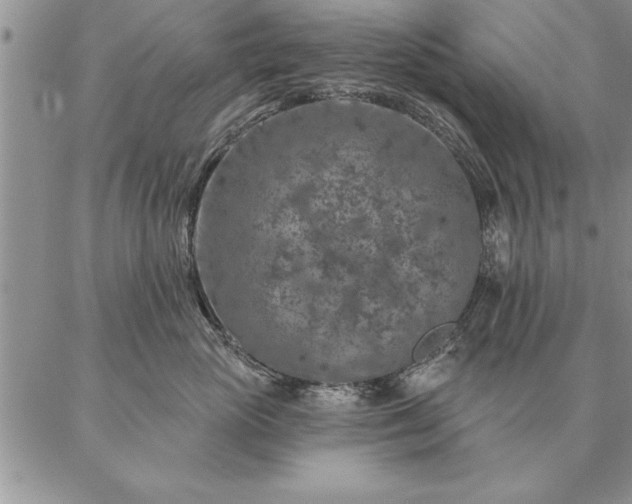 X0000087380765200704271557