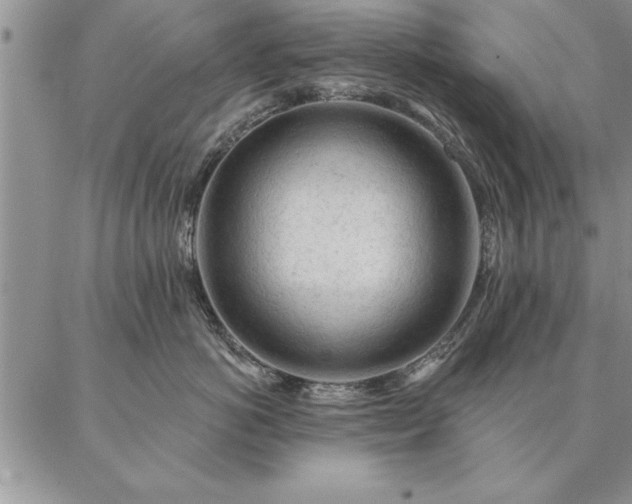 X0000087380766200704271557