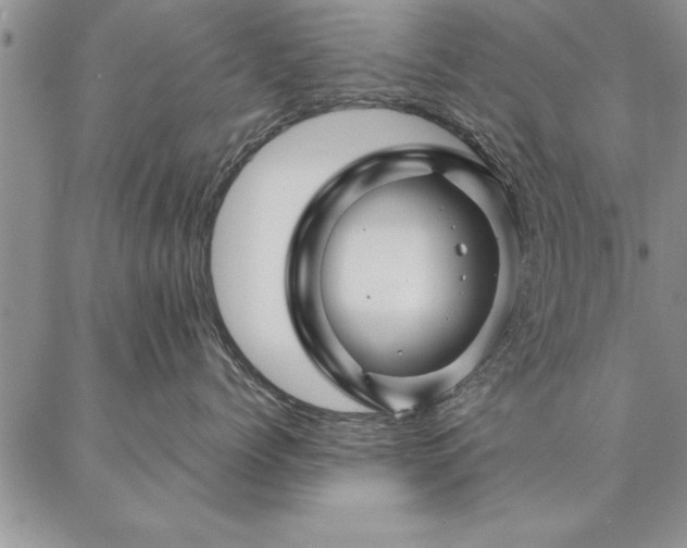 X0000087380768200704271557