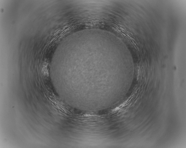 X0000087380770200704271556