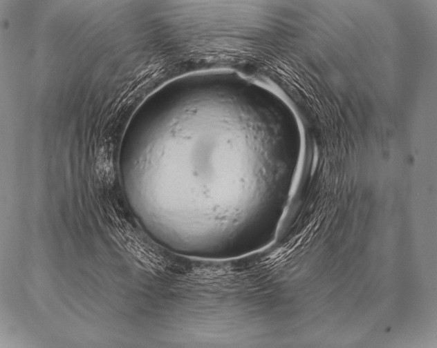 X0000087380771200704271556