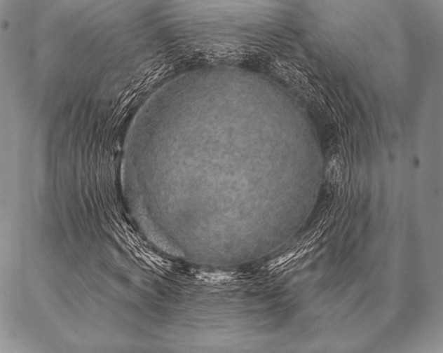 X0000087380772200704271556