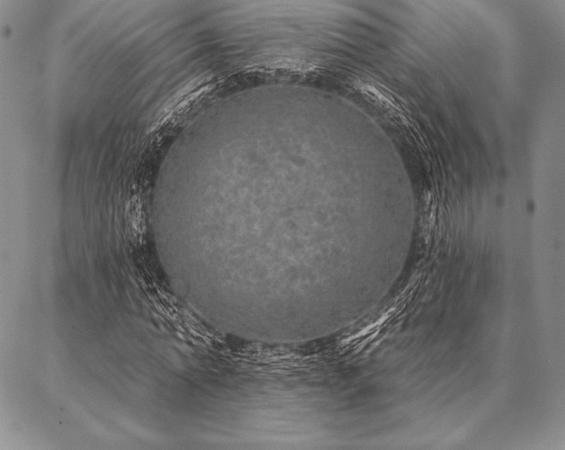 X0000087380774200704271556