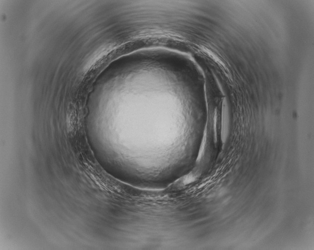 X0000087380775200704271556