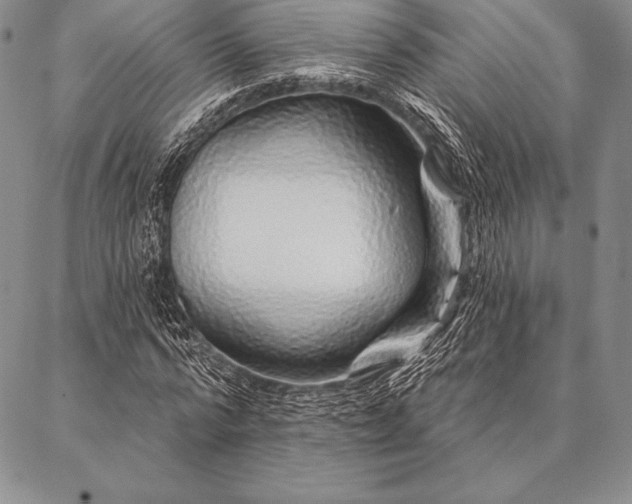 X0000087380776200704271556