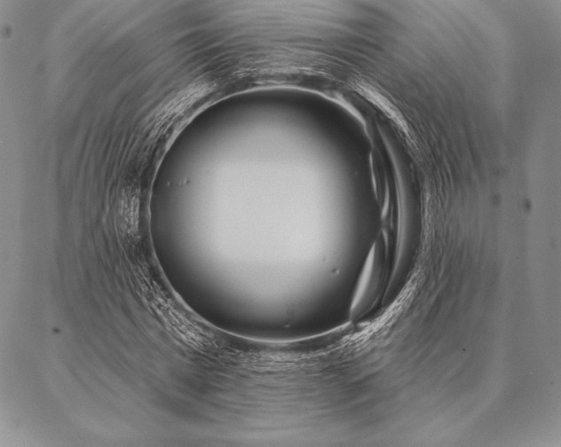 X0000087380777200704271556