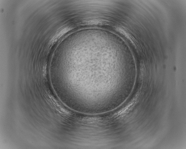 X0000087380778200704271556