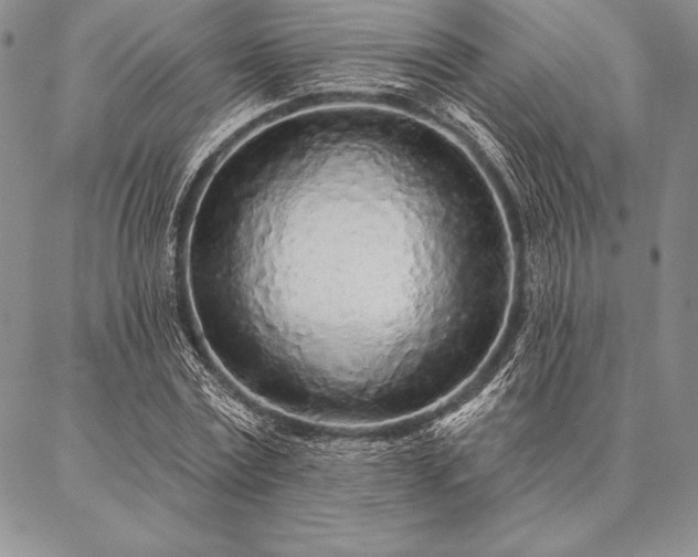 X0000087380779200704271556