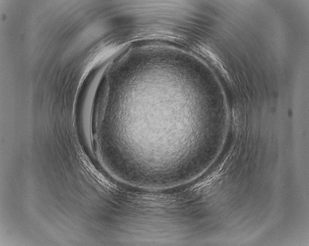 X0000087380780200704271556