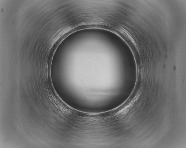 X0000087380781200704271556