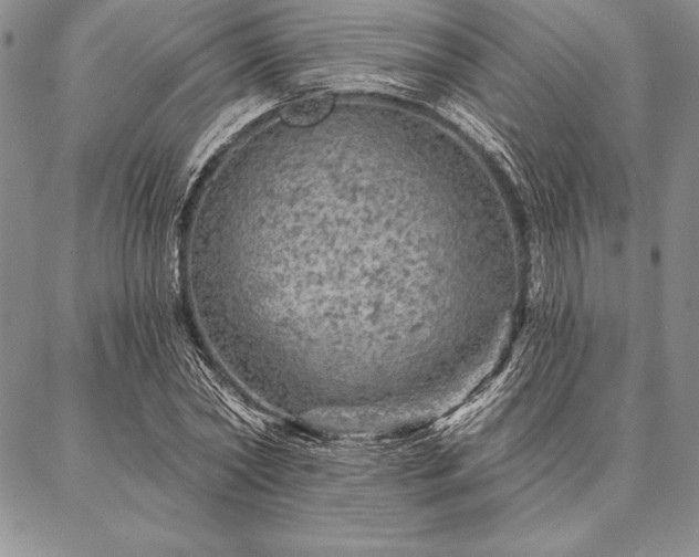 X0000087380782200704271556