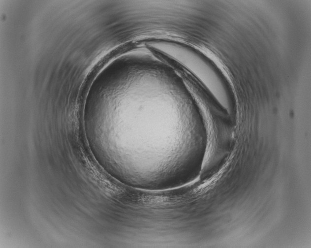 X0000087380783200704271556