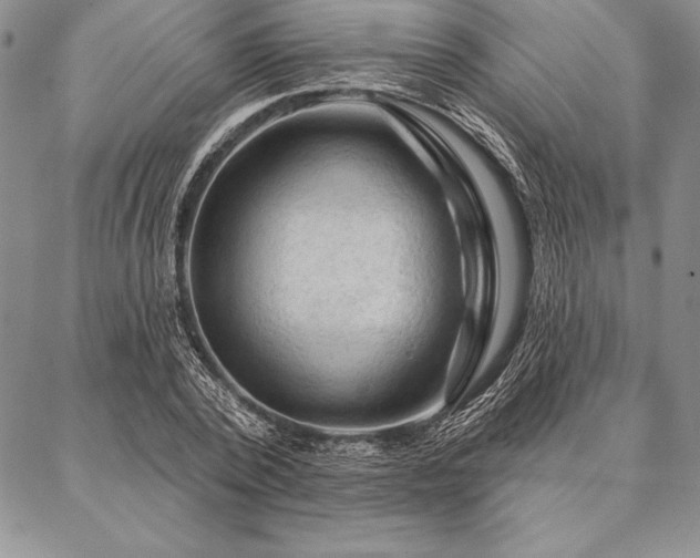 X0000087380784200704271556