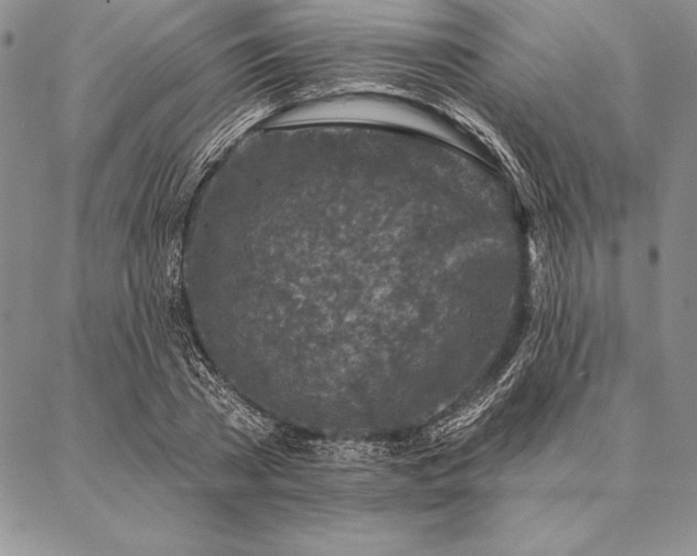 X0000087380785200704271556