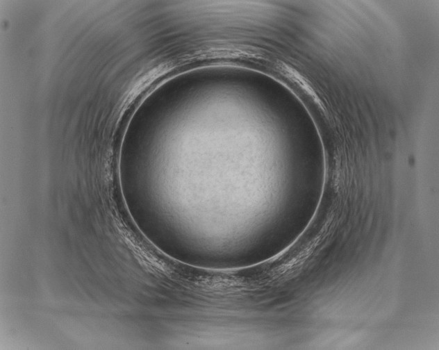 X0000087380786200704271556