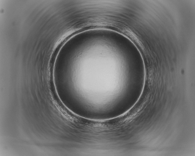 X0000087380787200704271556