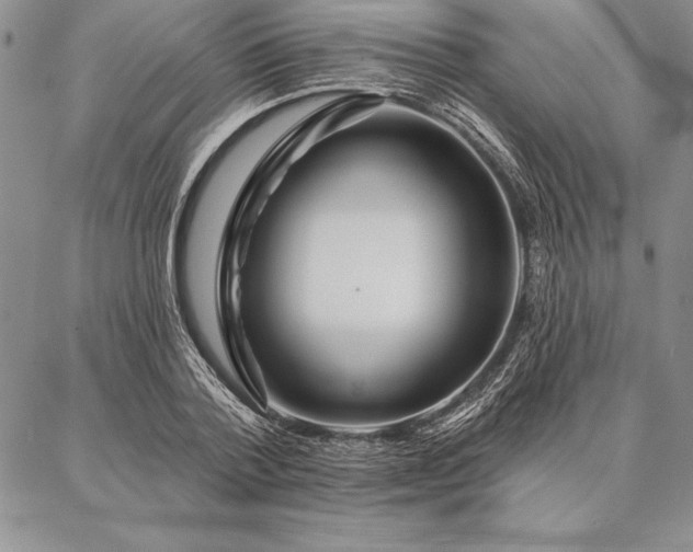 X0000087380788200704271556