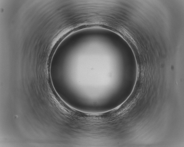 X0000087380789200704271556