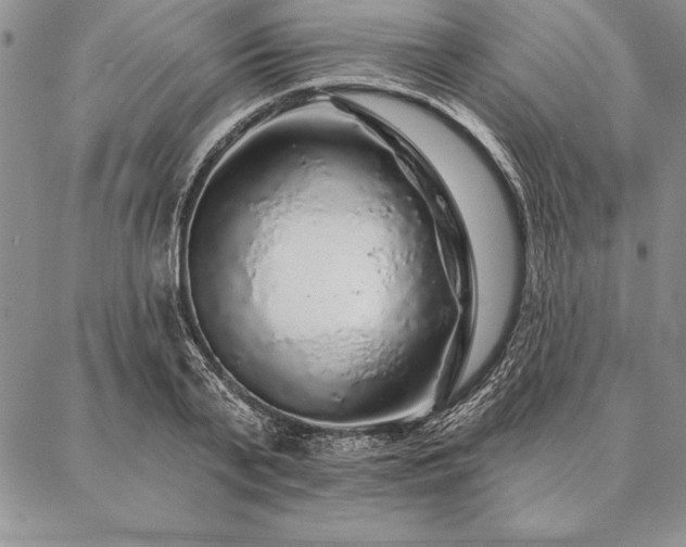 X0000087380791200704271556