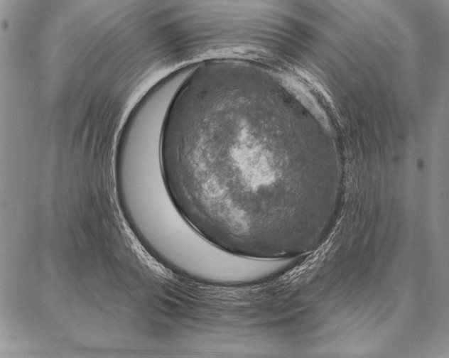 X0000087380792200704271556