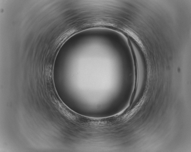 X0000087380793200704271556