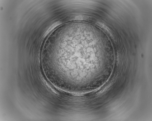 X0000087380794200704271556