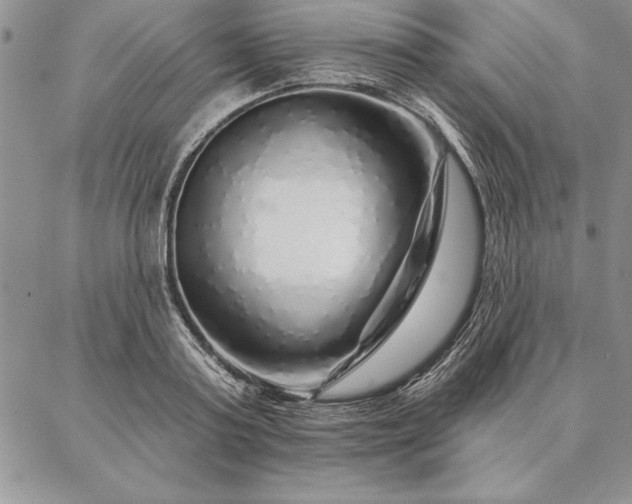 X0000087380795200704271556