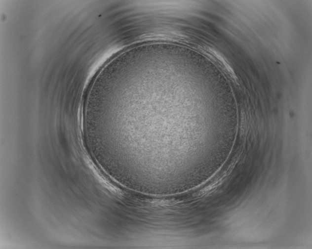 X0000087380796200704271556