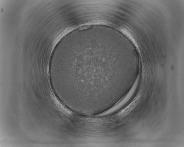 X0000087380797200704271556