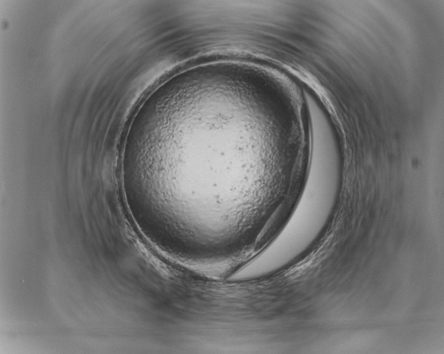 X0000087380799200704271556