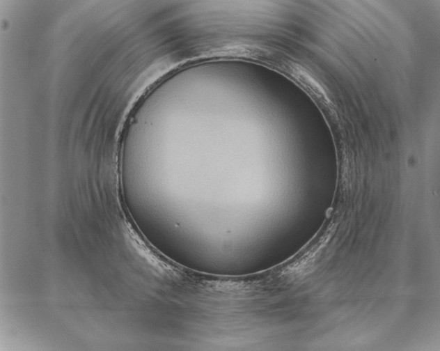 X0000087380800200704271556