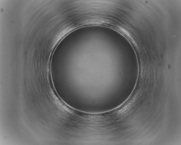 X0000087380802200704271556