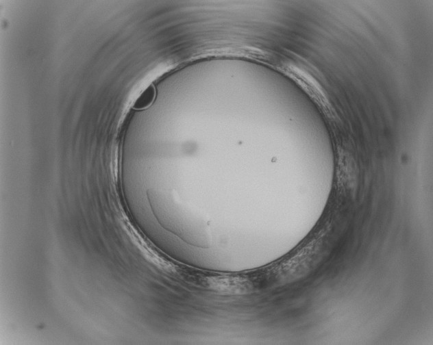 X0000087380804200704271556