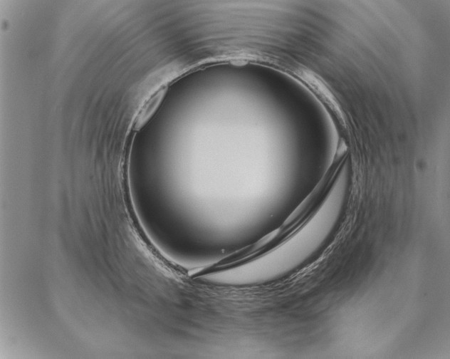 X0000087380805200704271556