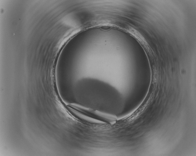 X0000087380806200704271556