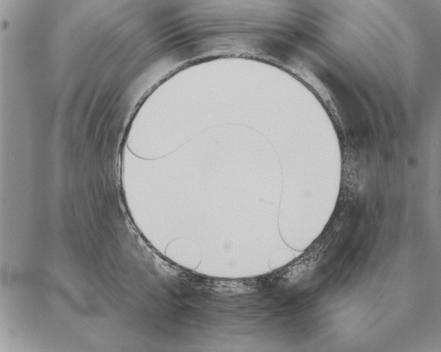 X0000087380807200704271556